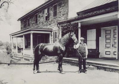 Horse