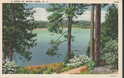 A View of Budd Lake