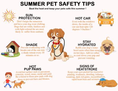 Summer Safe Pets